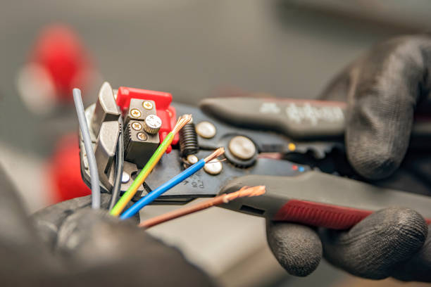 Best Affordable Electrician  in Roanoke, AL