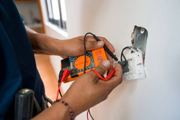 Best Electric Panel Repair  in Roanoke, AL