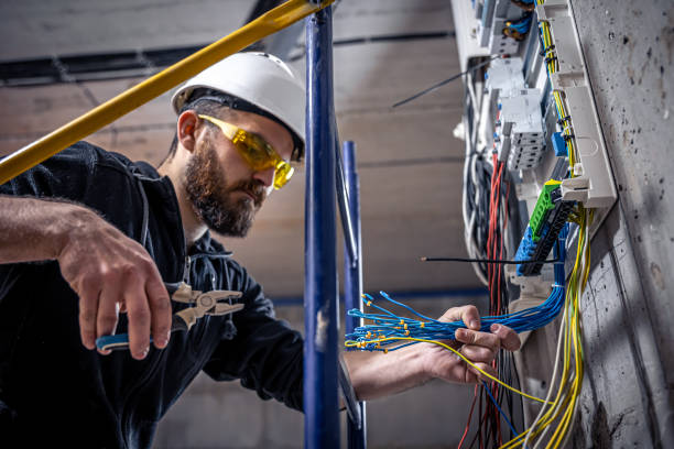 Best Electrical Wiring Services  in Roanoke, AL